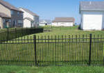Fence 100_5016_small.jpg